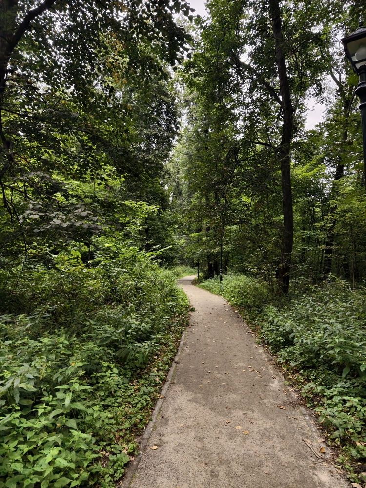 Photograph by Всеволод