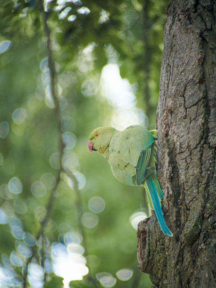 Photograph by Ирина Протченко