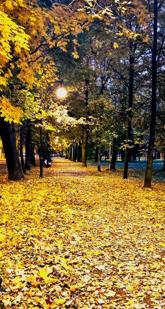 Фотография автора Мария Коледа