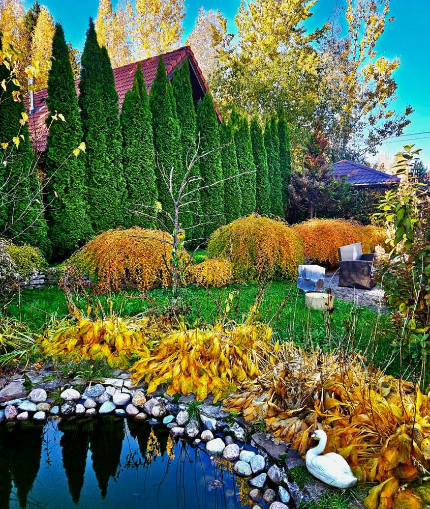 Фотография автора Мария Коледа