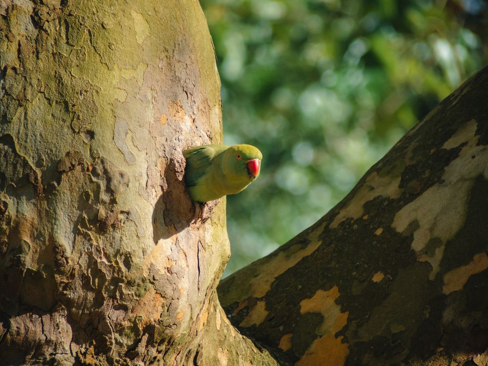 Photograph by Ирина Протченко