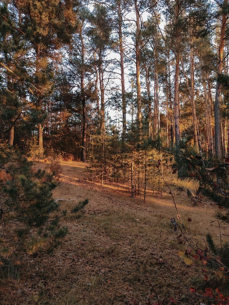 Photograph by Алия Латыйпова