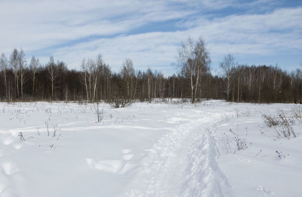 Photograph by Екатерина @Arigata