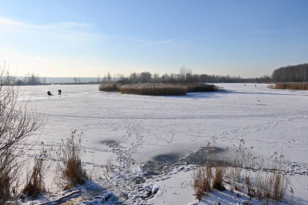 Photograph by Екатерина @Arigata