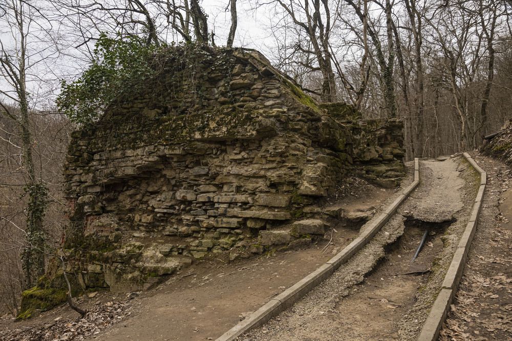 Photograph by Екатерина @Arigata