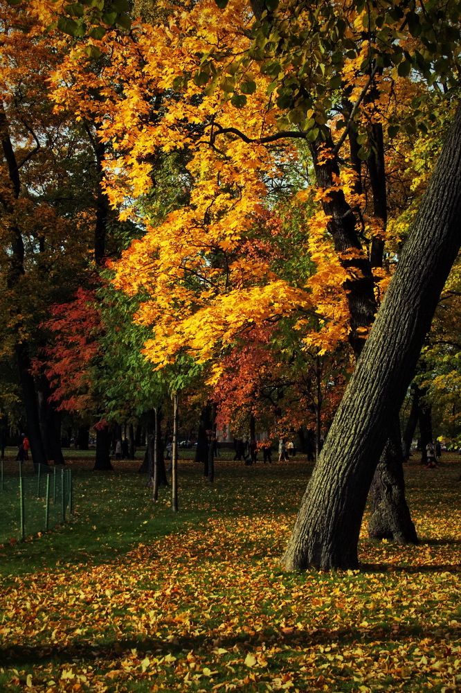 Photograph by Станислав Староверов