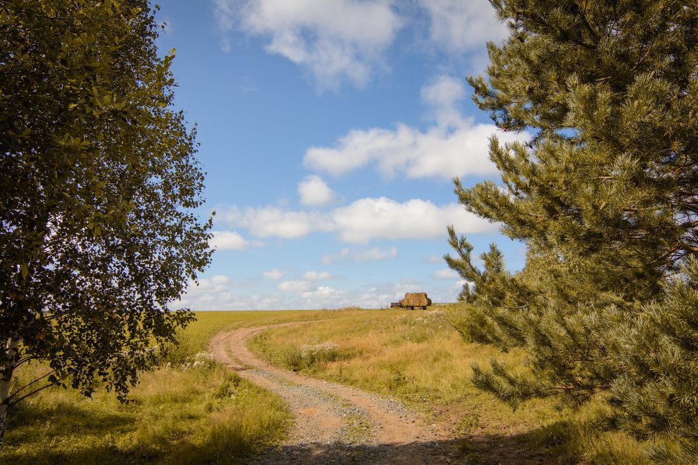 Photograph by Олег Бережных