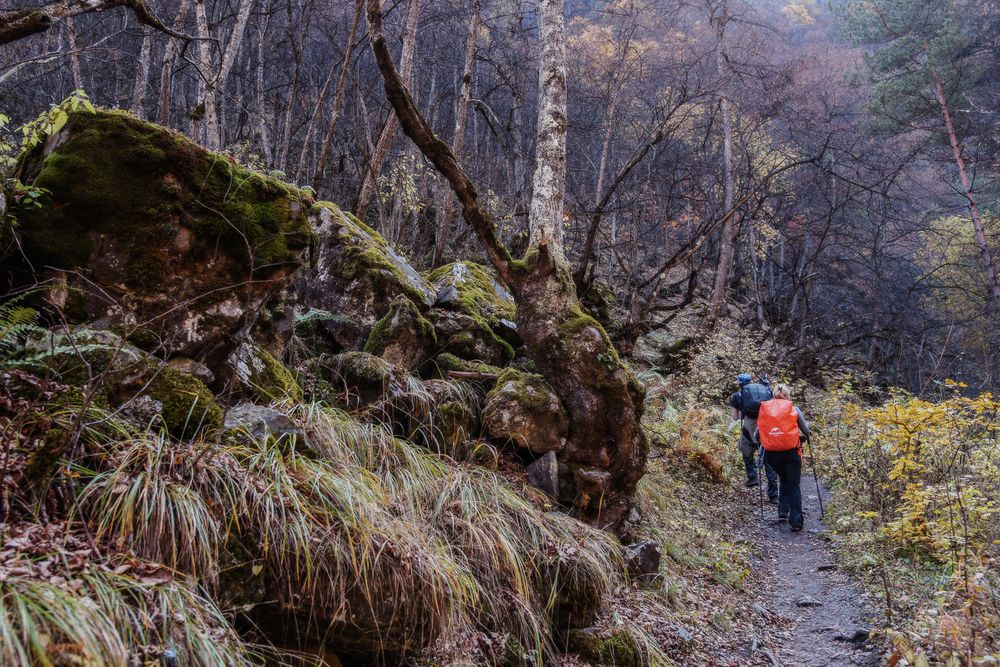 Photograph by Ирина Яук