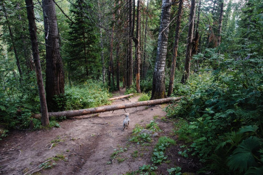 Photograph by Ирина Яук