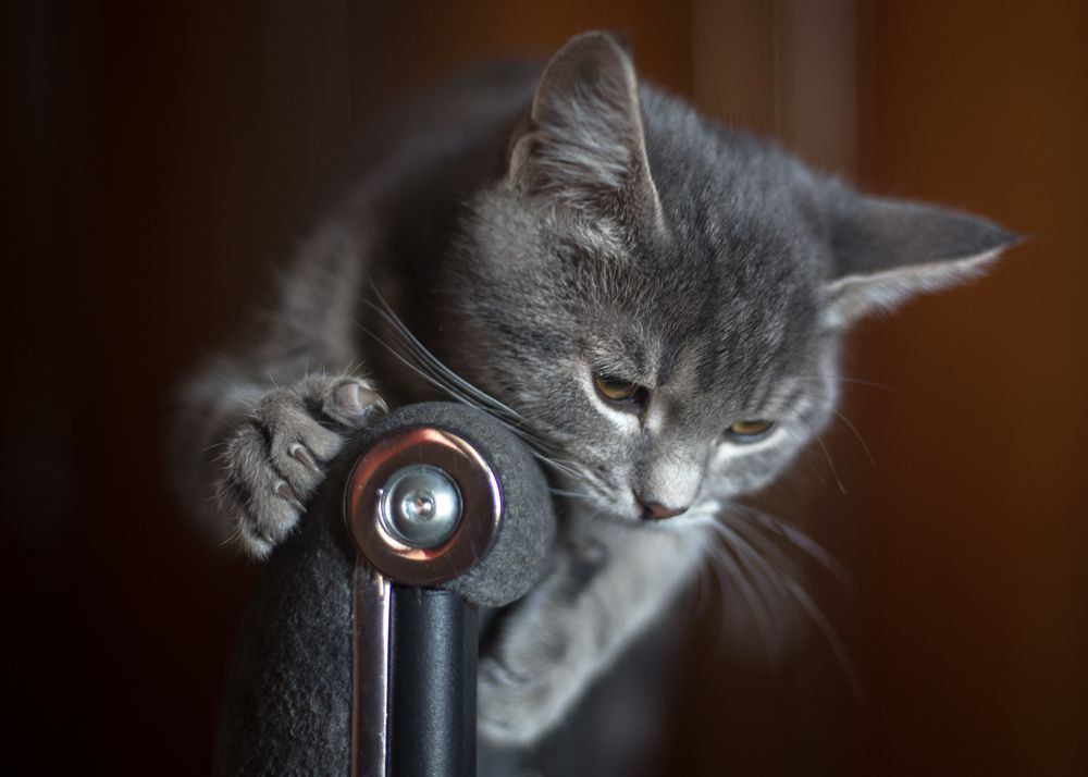 Photograph by Сергей Алексеев