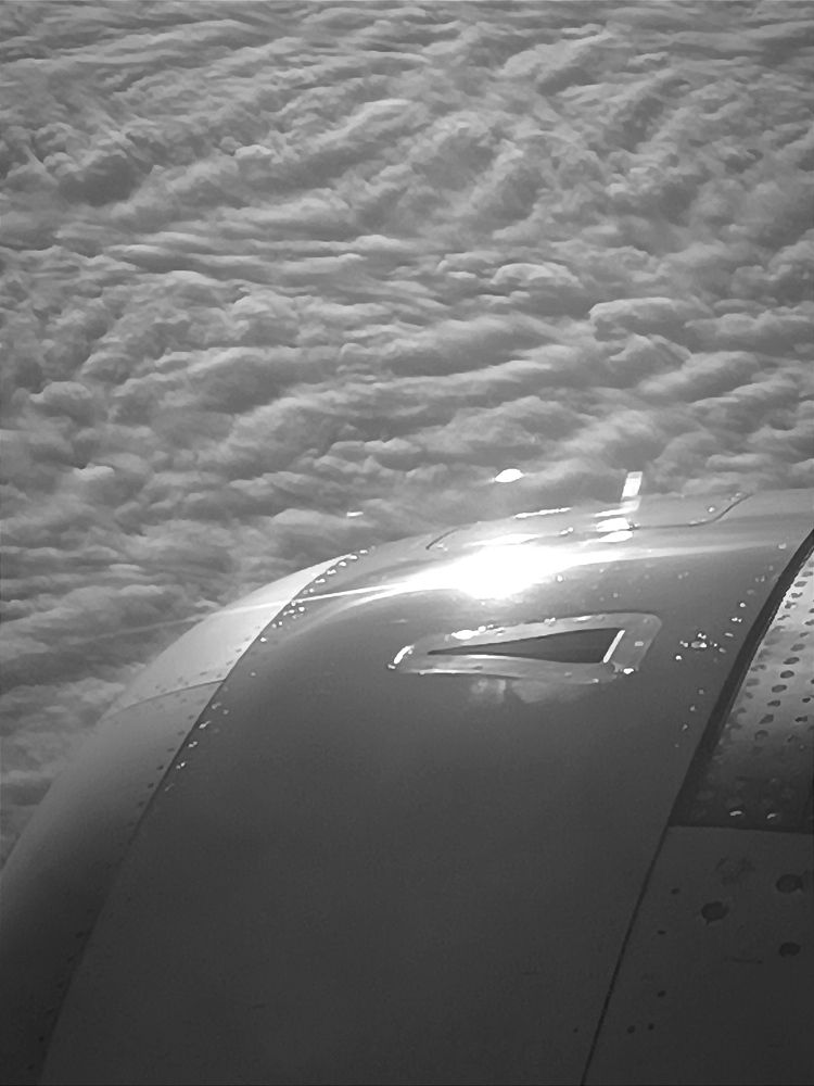 Photograph by Nikita Zorin