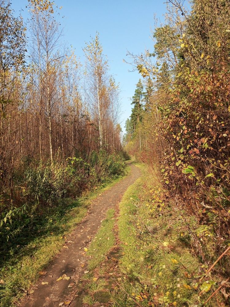 Photograph by Людмила М