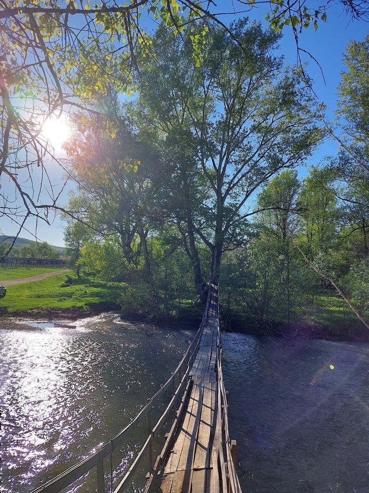 Photograph by Наталья Дубовкина