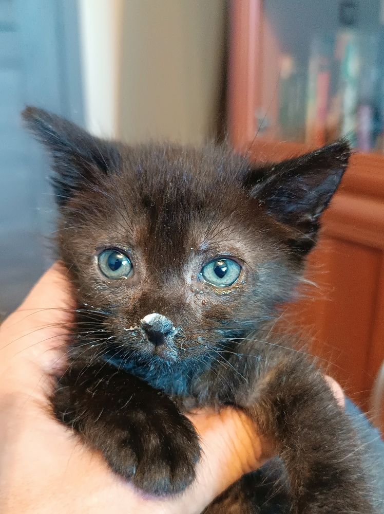 Photograph by Nikita Zorin