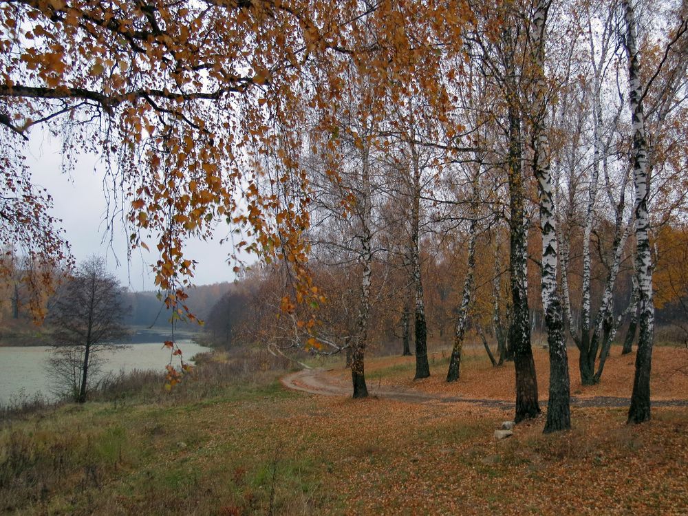 Photograph by Андрей Осмоловский