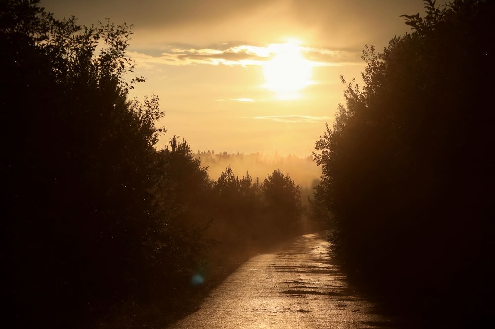 Photograph by Мария Глухова