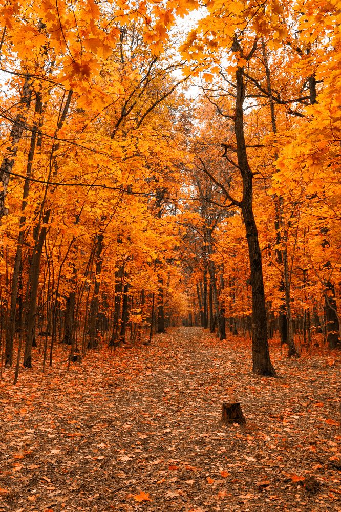 Photograph by Алексей Степанов