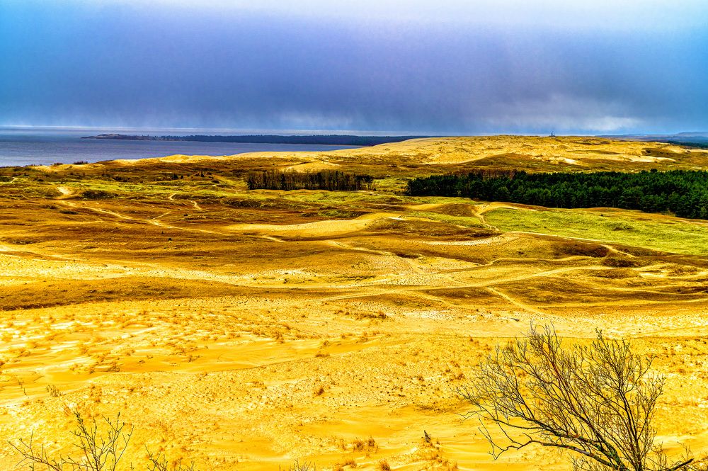 Photograph by Леонид Соболев