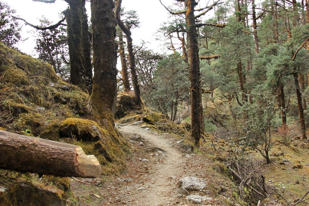 Photograph by Лада Денисова