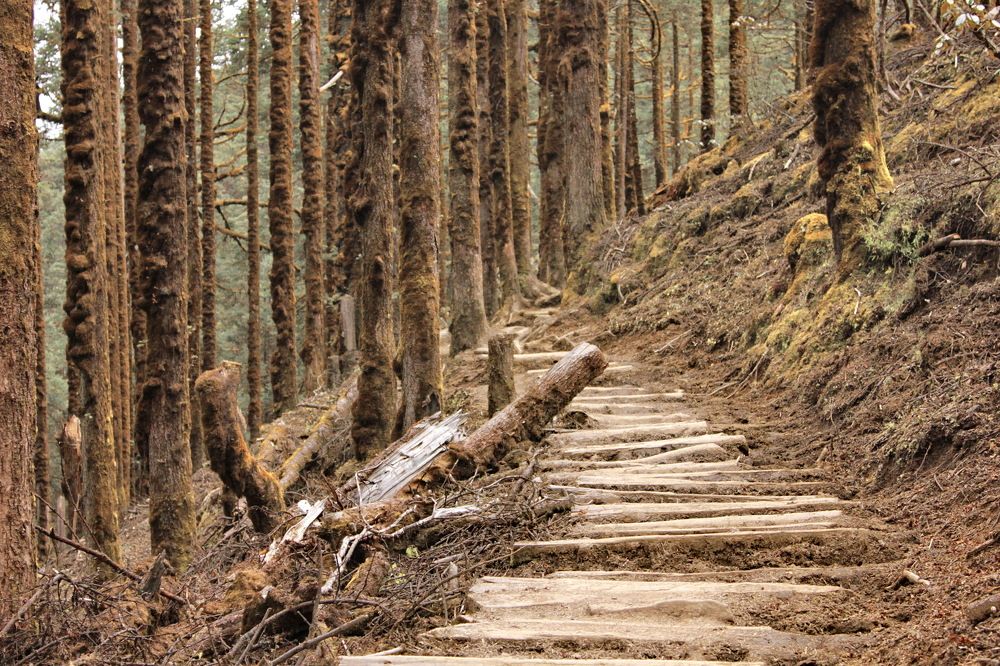 Photograph by Лада Денисова