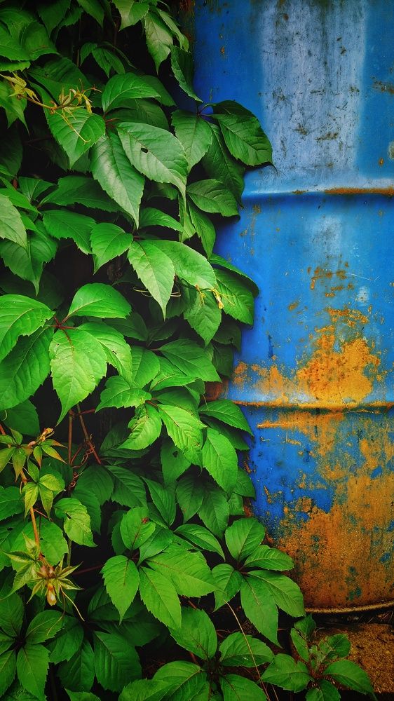 Photograph by Бодрый Славик