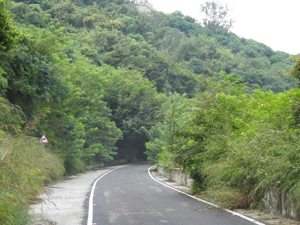 Road atop the hill really beautiful.
