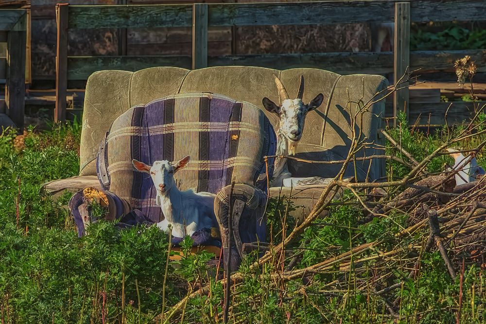 Photograph by Пучков Андрей