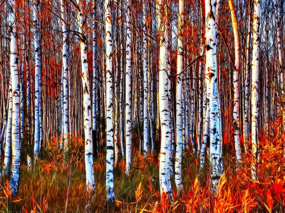 Огненнaя  осень