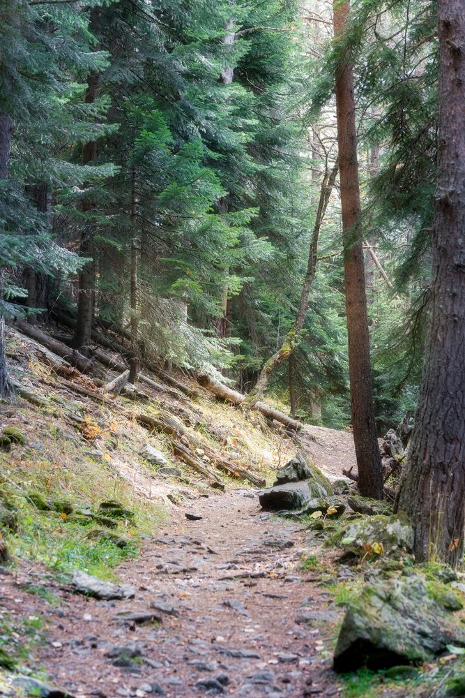 Photograph by Alexander Ornatskiy