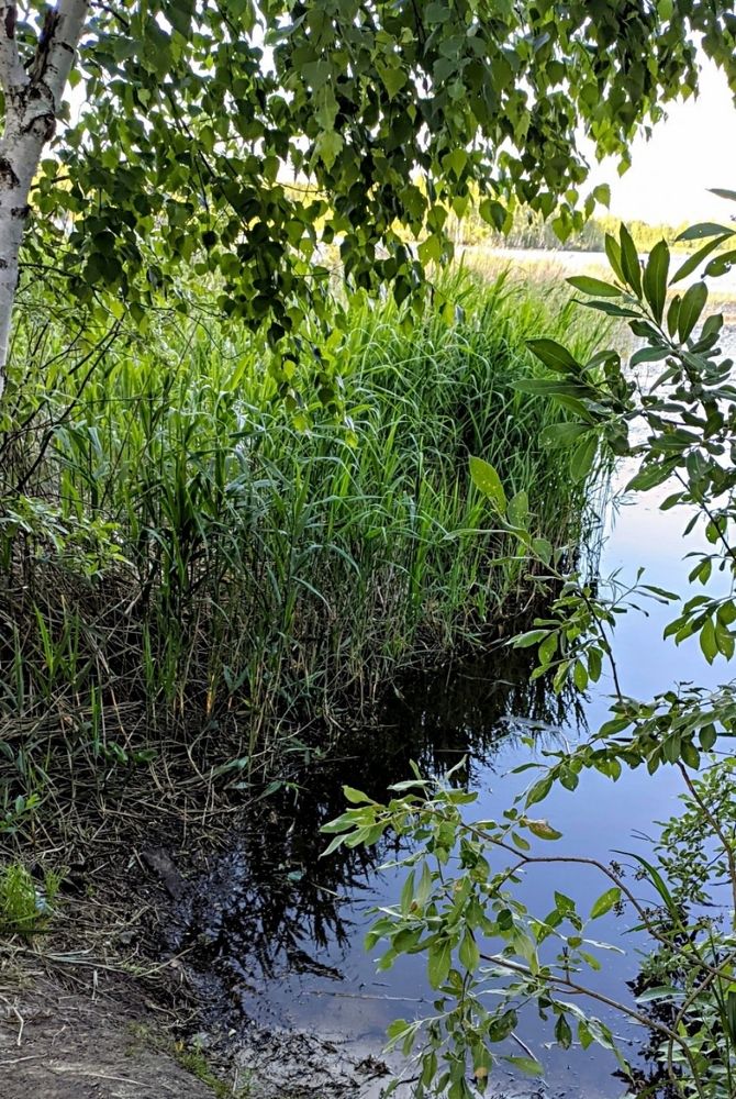 Photograph by Анна Андреевна