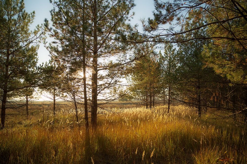 Photograph by Галина Чепиль