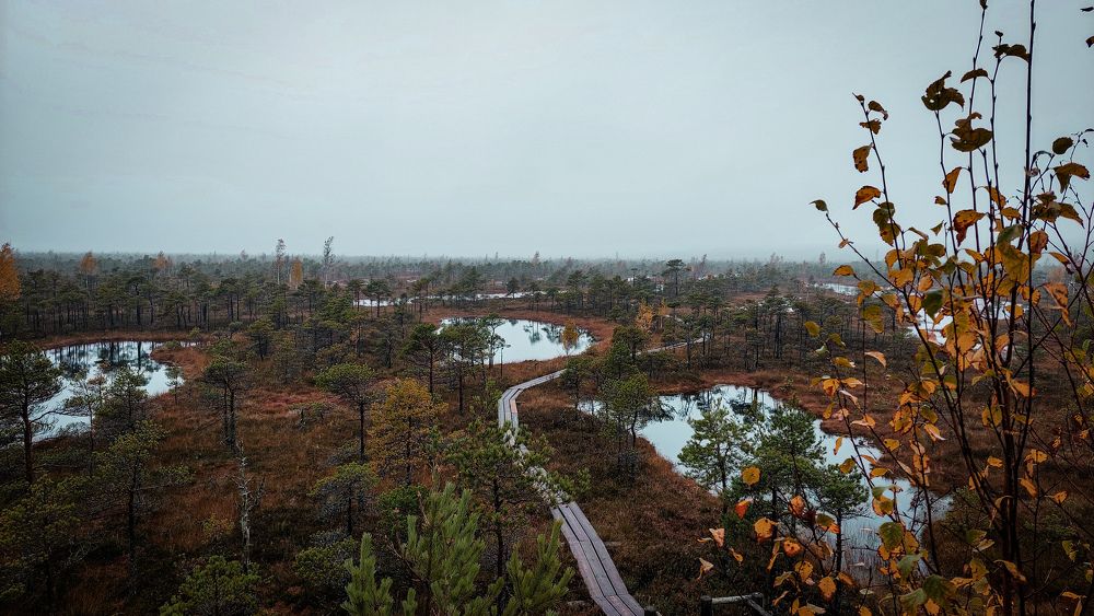 Photograph by Наталия