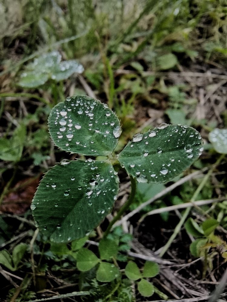 Photograph by Каковкина Ольга