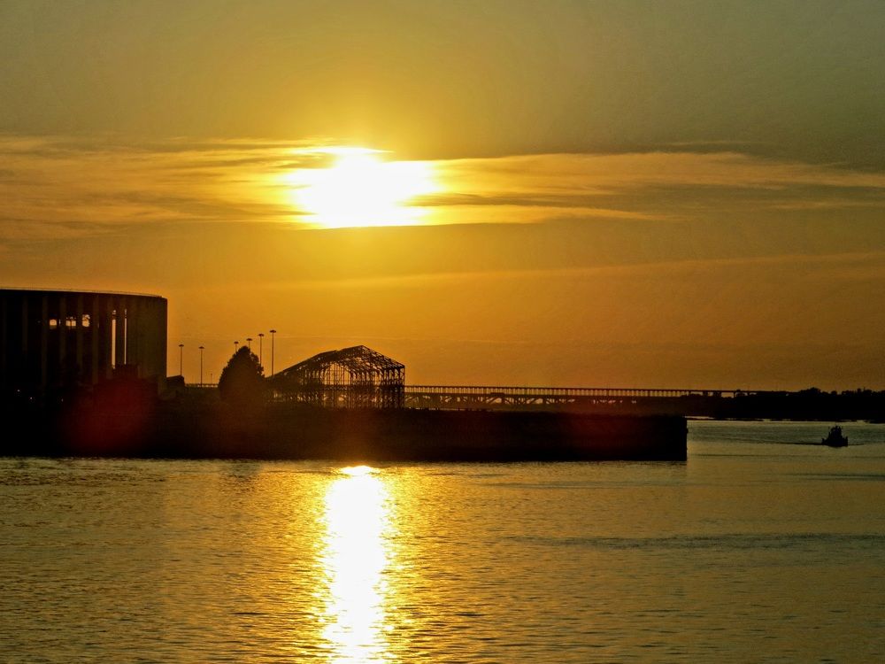 Photo #11229457