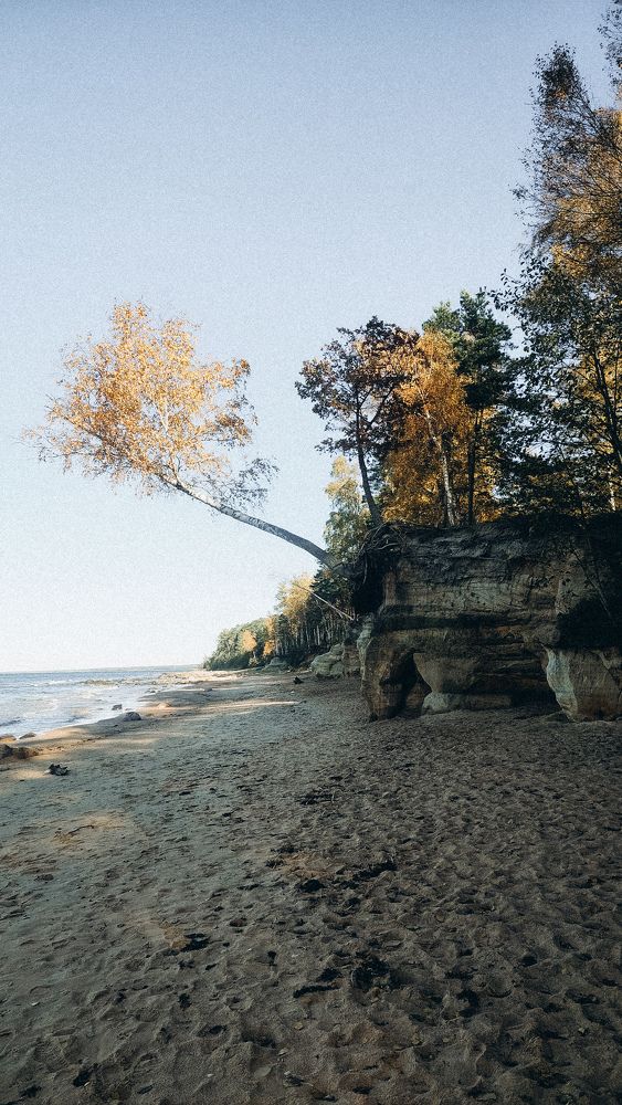 Photograph by Наталия