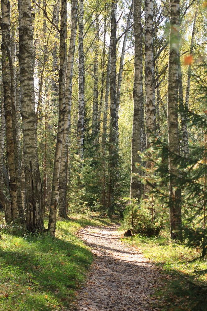 Photograph by Елена Карпухно