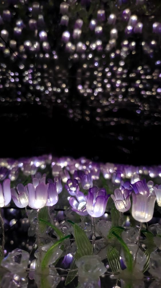 Glass flower ✨