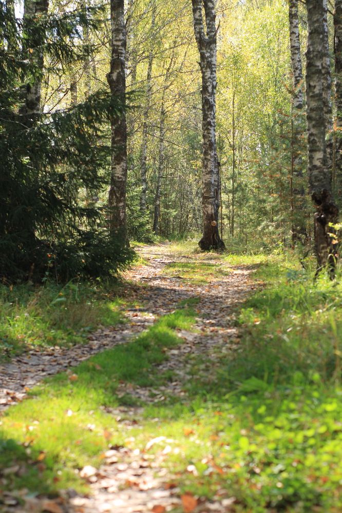 Photograph by Елена Карпухно