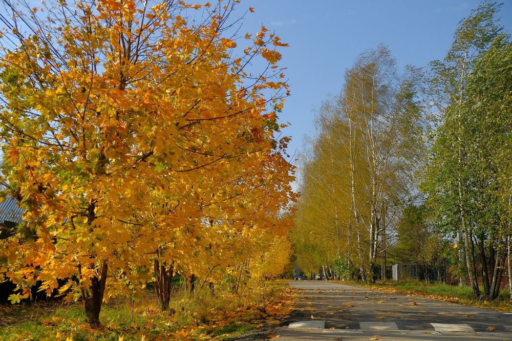 Photograph by Екатерина Морозова