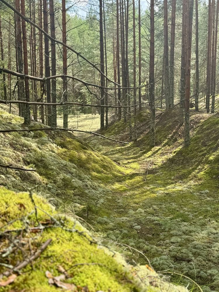 Photograph by Елена Карпухно