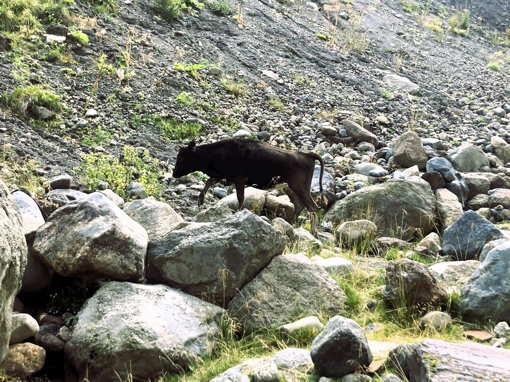 Photograph by Светлана