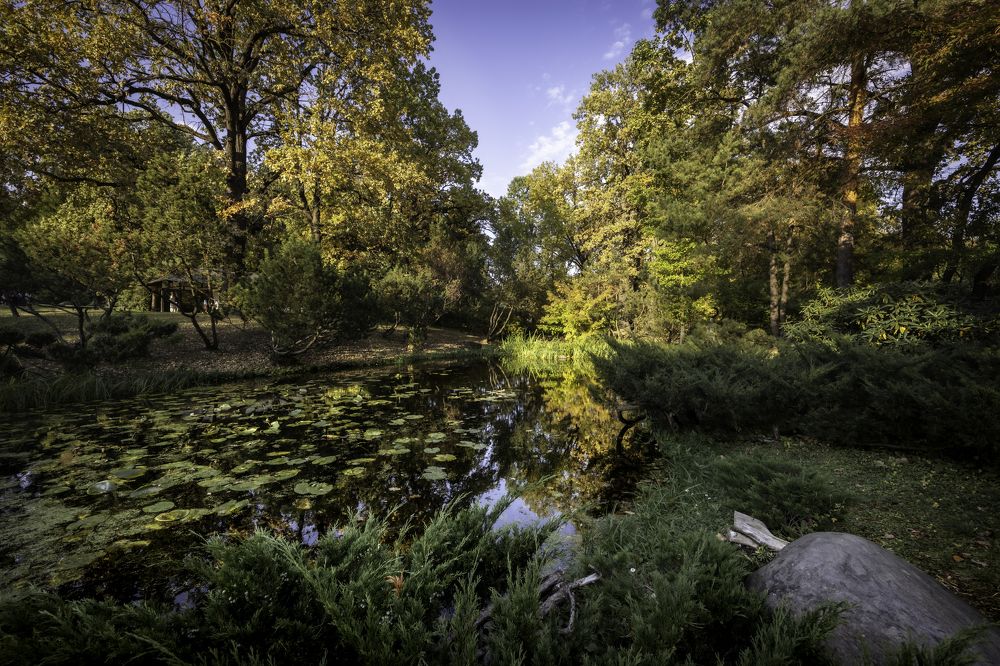 Фотография автора Владимир Барсуков