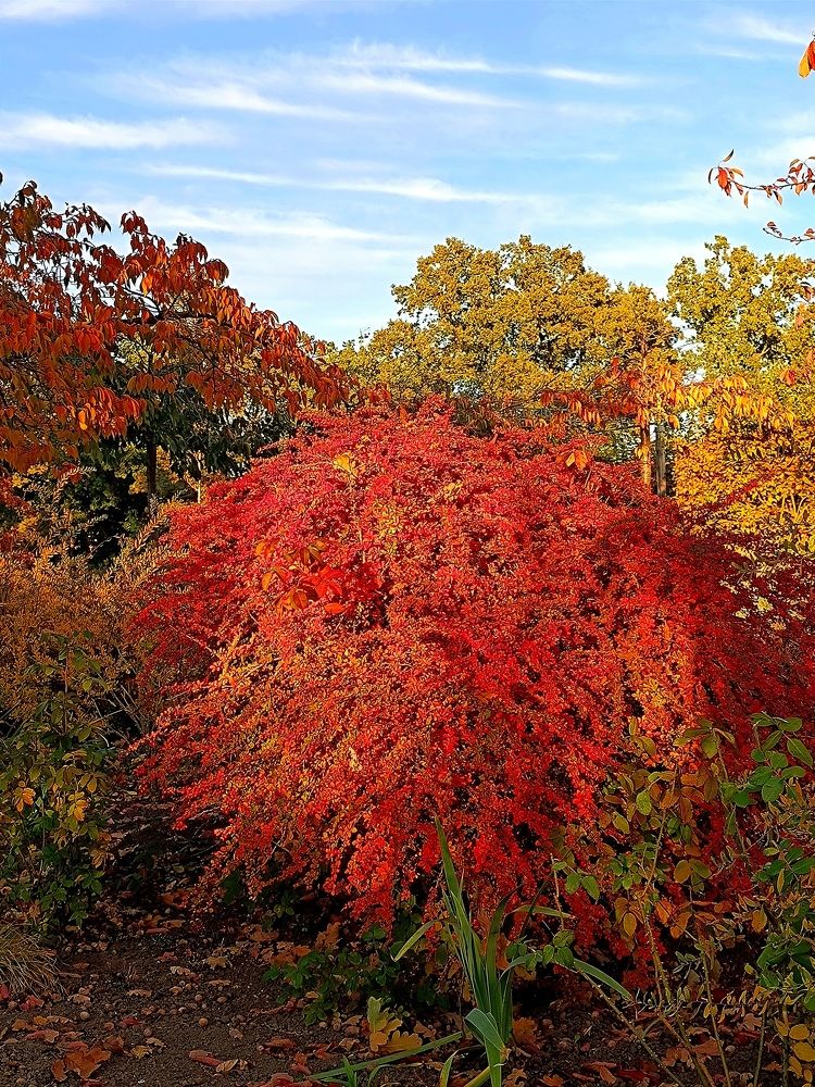 Photograph by Oleg Yashin
