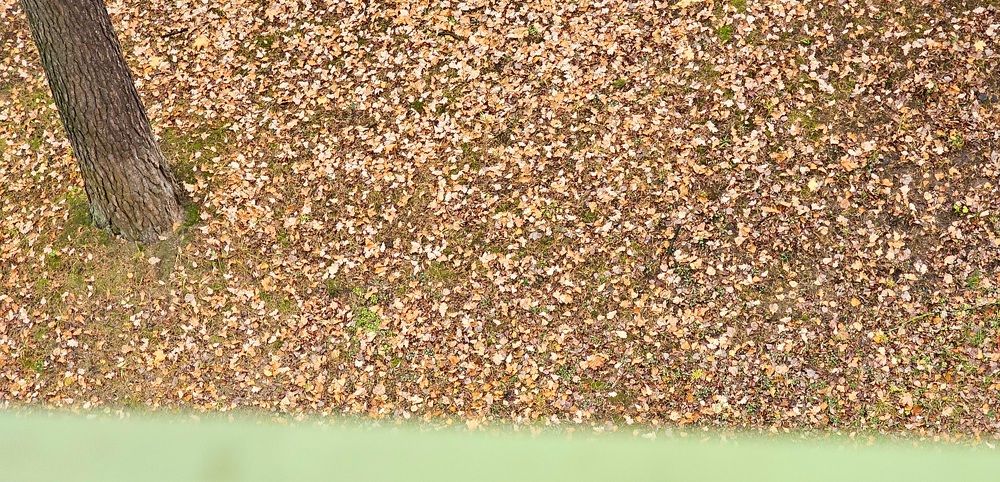 Photograph by Михаил Трусов