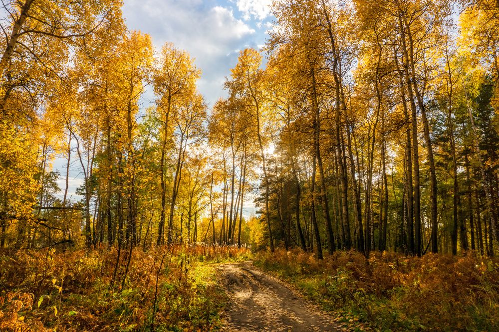 Photograph by Ксения Дудкина