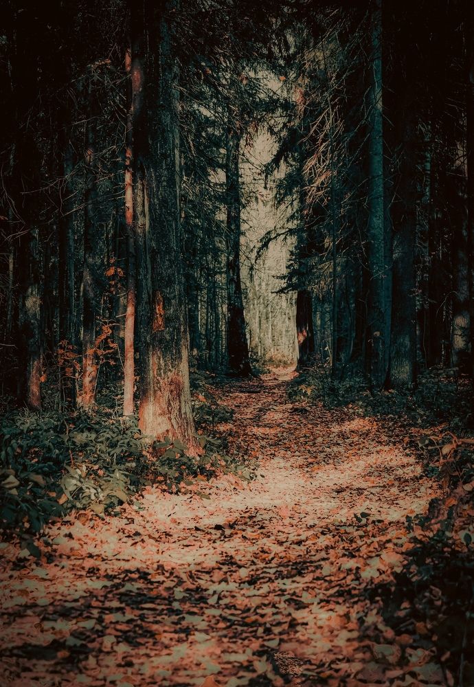 Photograph by Гульнара