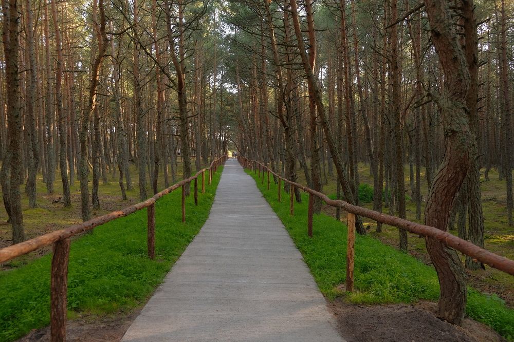 Photograph by Екатерина Морозова