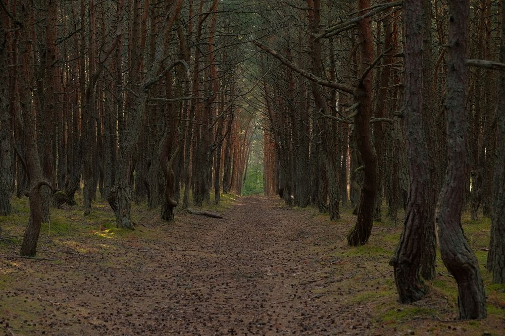 Photograph by Екатерина Морозова