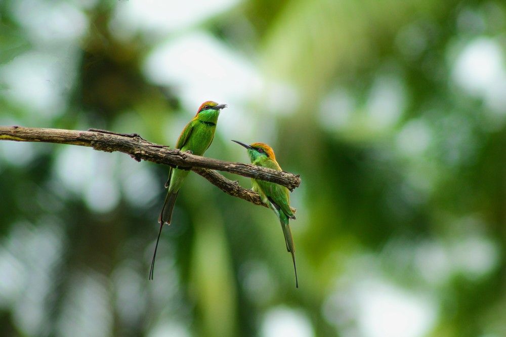 Photograph by Afnida m