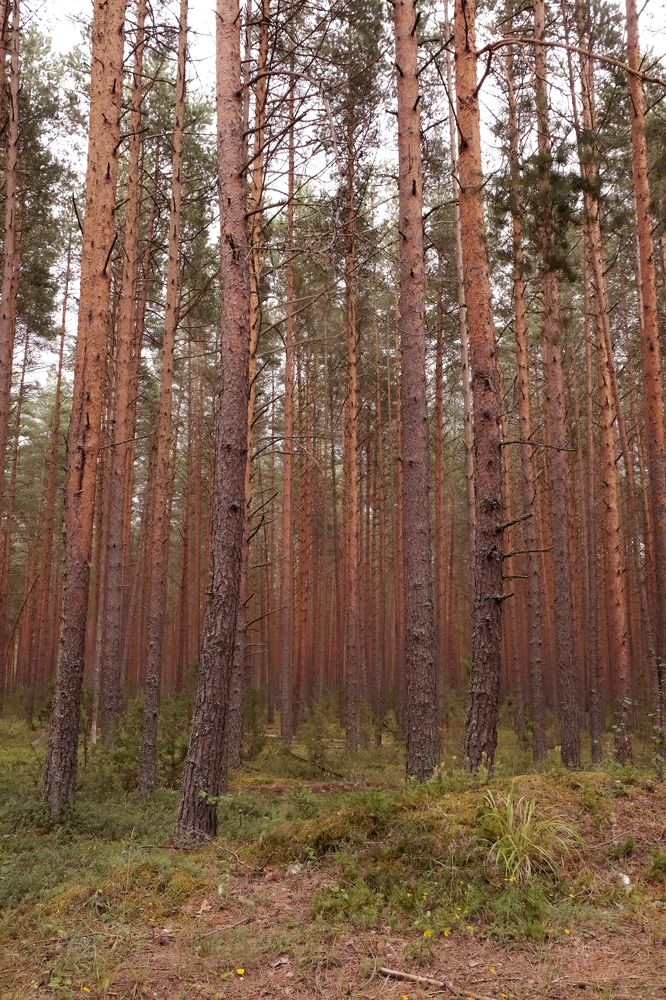 Photograph by Екатерина Морозова